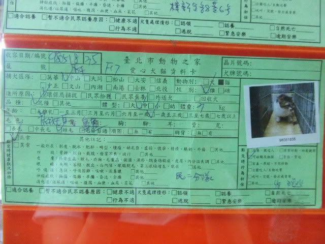 圖檔