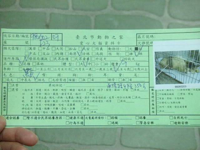 圖檔