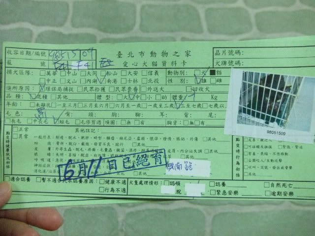 圖檔