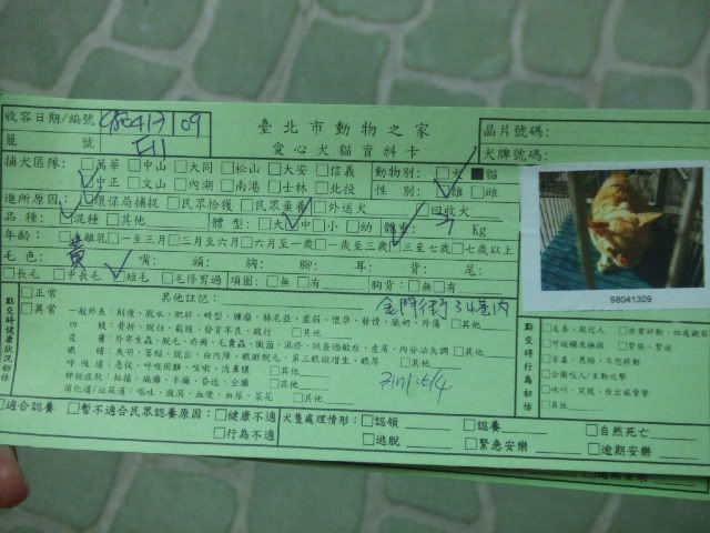圖檔
