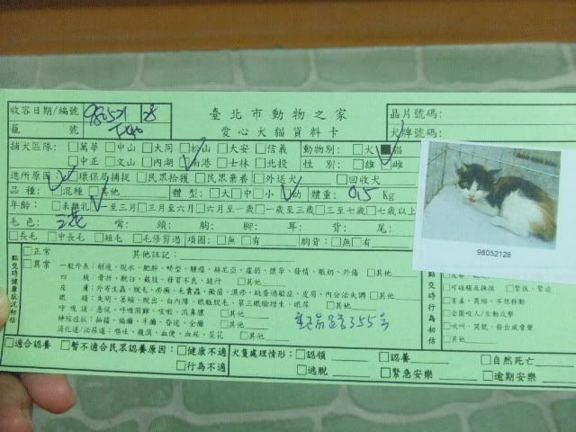 圖檔