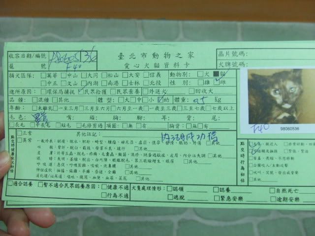 圖檔