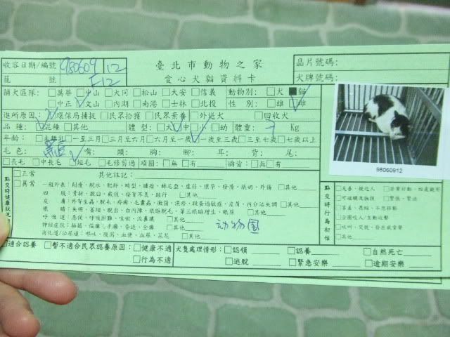 圖檔