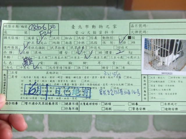 圖檔