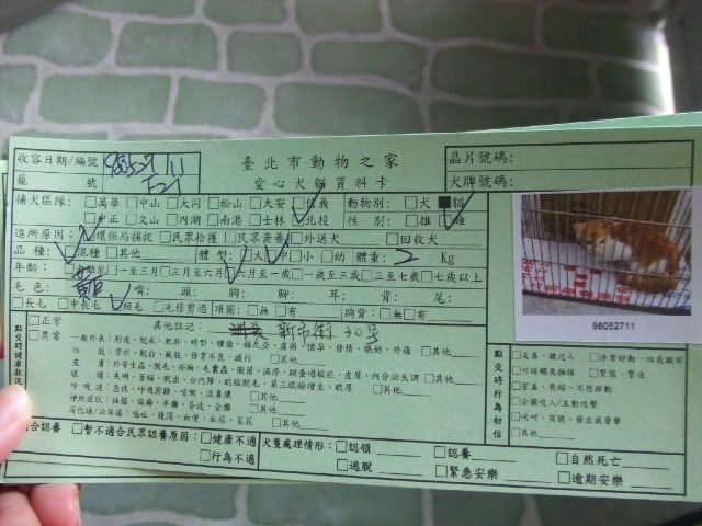 圖檔