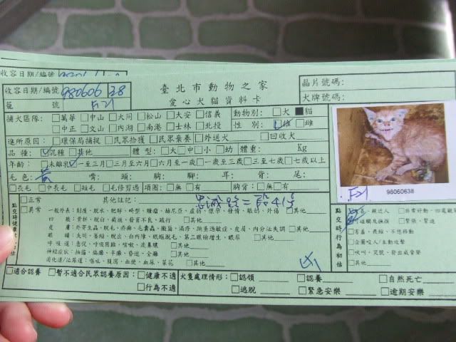 圖檔