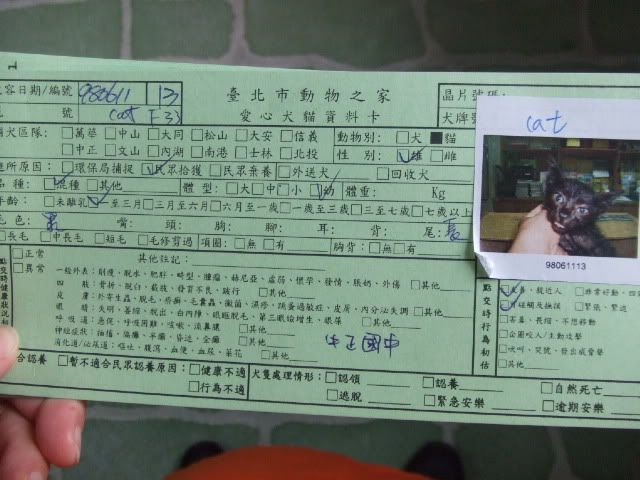 圖檔