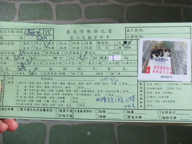 圖檔