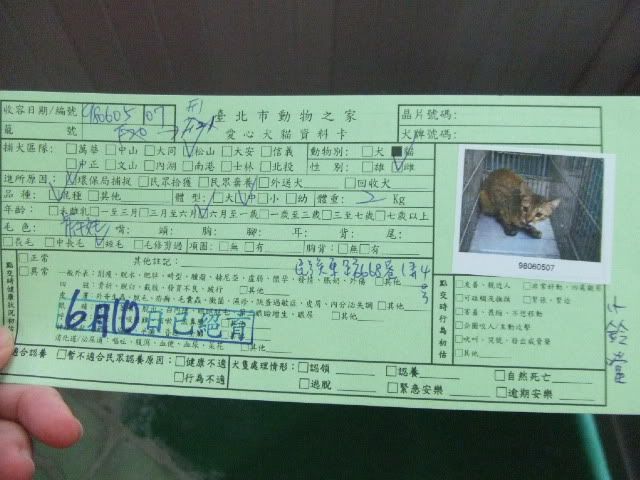 圖檔