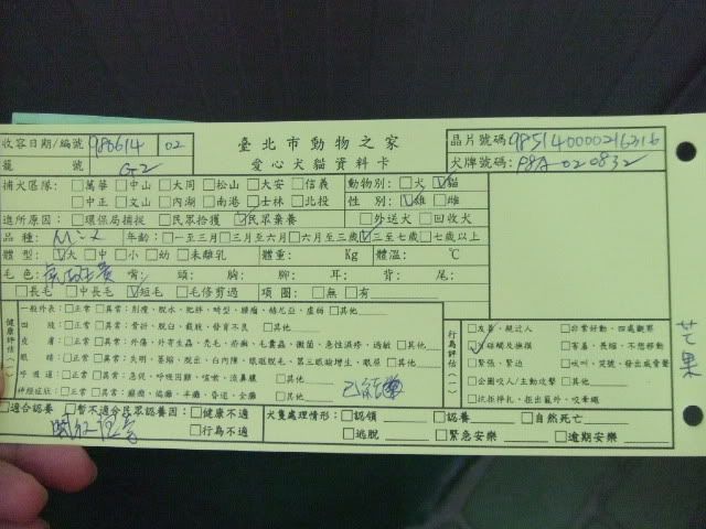 圖檔