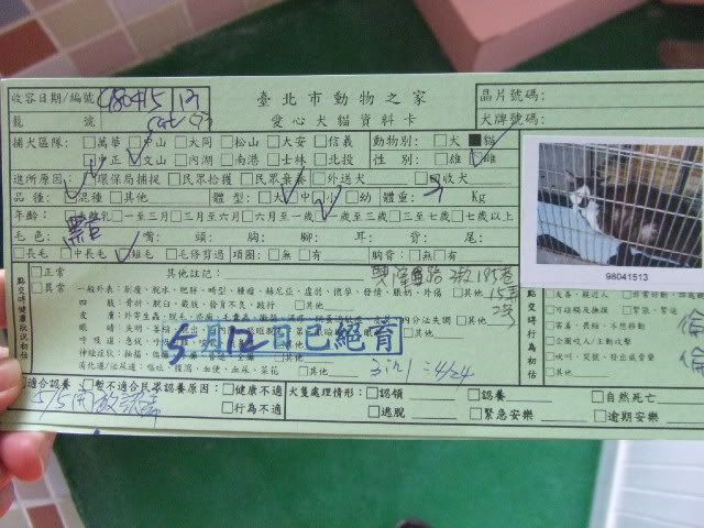 圖檔