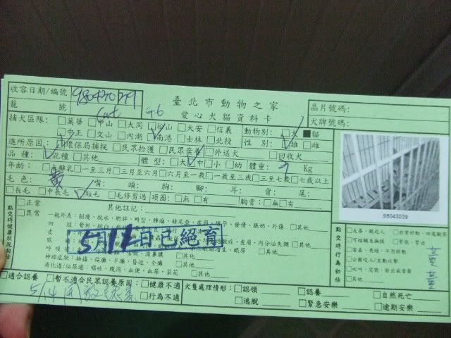 圖檔
