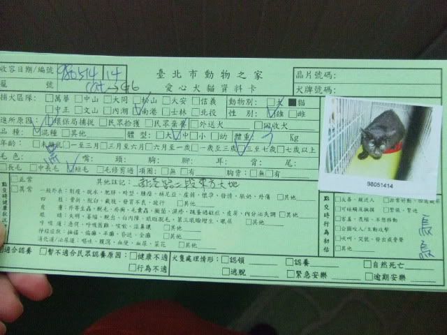 圖檔