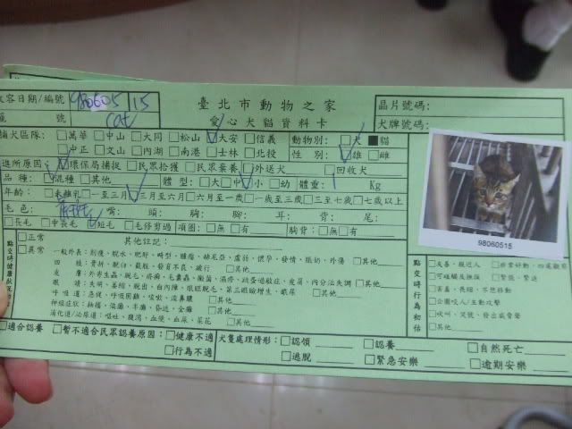圖檔