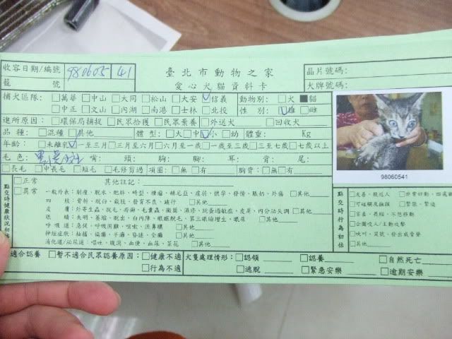 圖檔