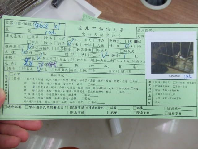 圖檔