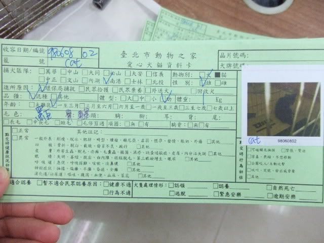 圖檔
