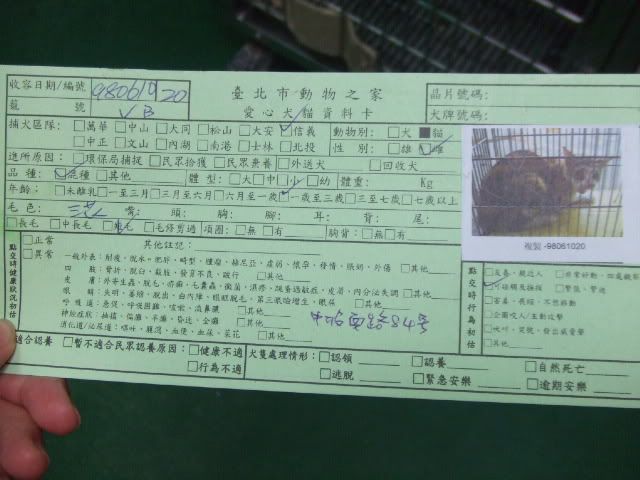 圖檔