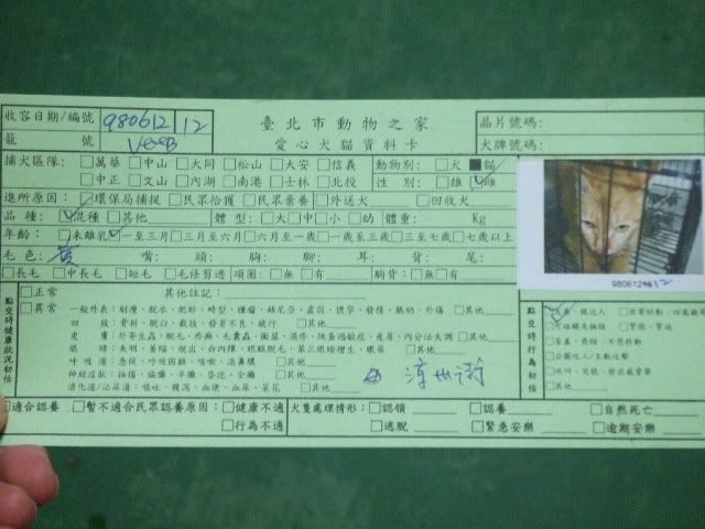 圖檔
