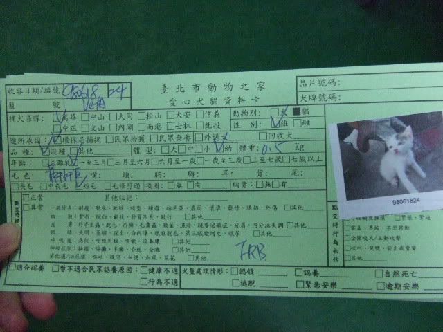圖檔