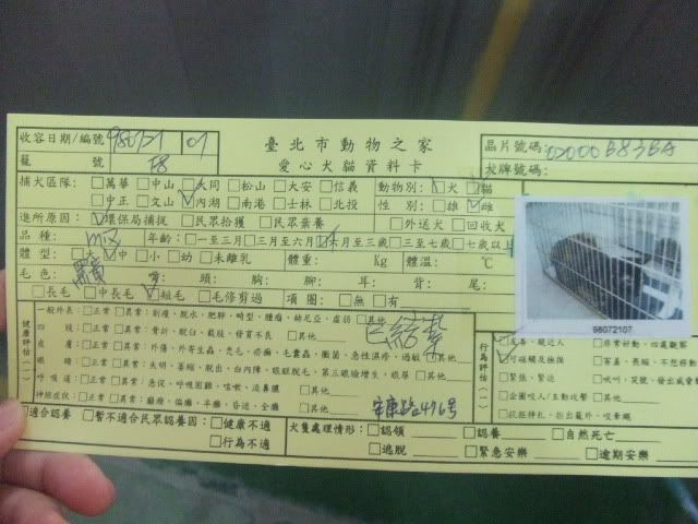 圖檔