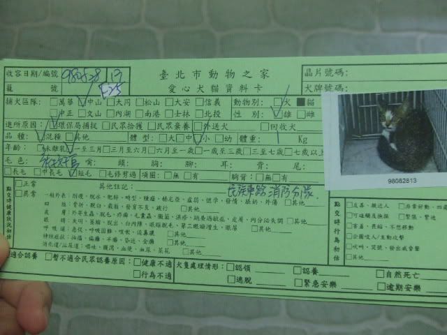 圖檔