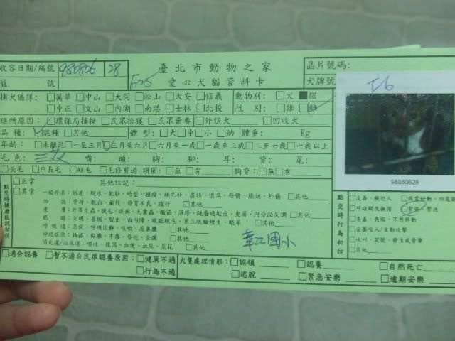 圖檔