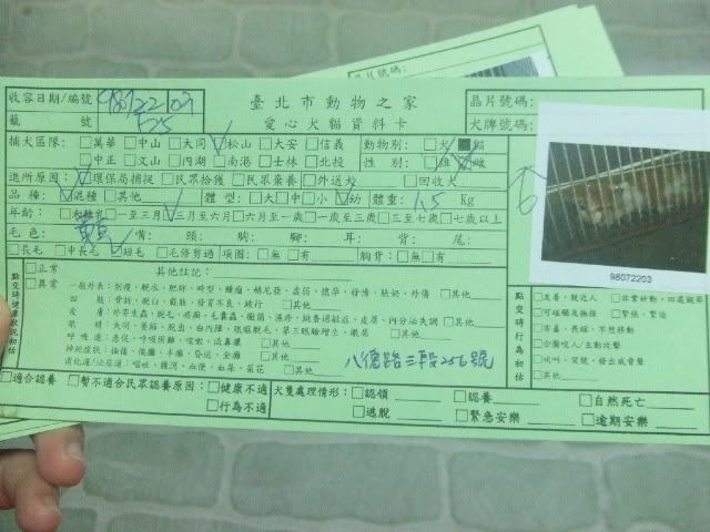 圖檔