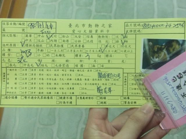 圖檔