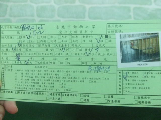 圖檔