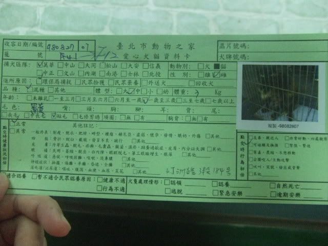 圖檔