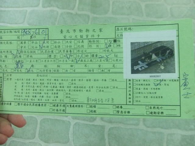 圖檔