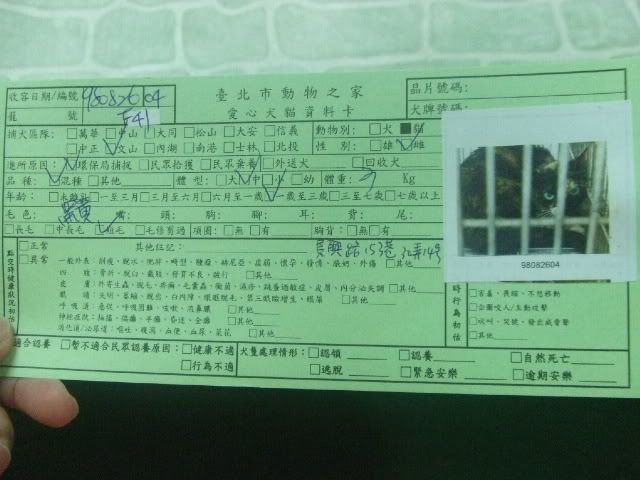 圖檔