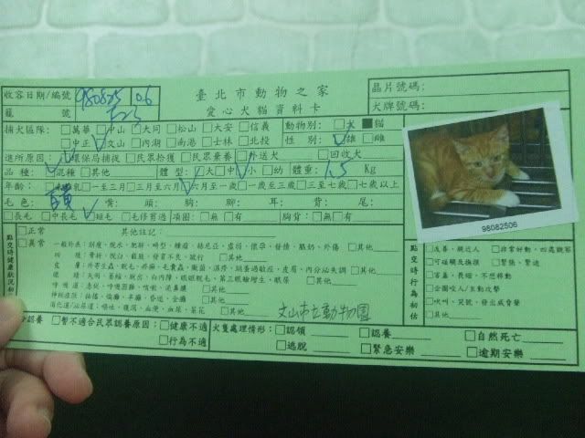 圖檔