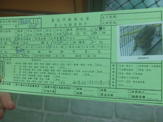 圖檔