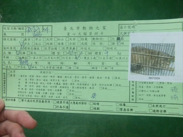 圖檔