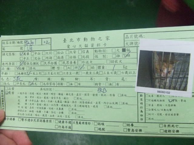 圖檔