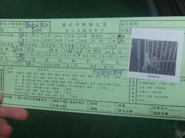 圖檔