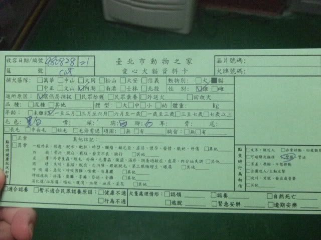 圖檔