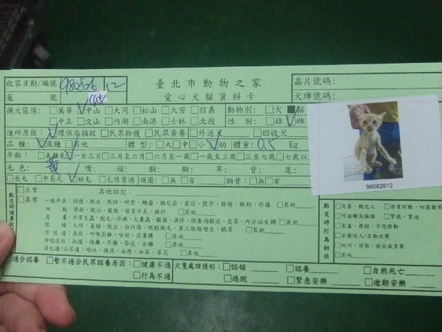 圖檔