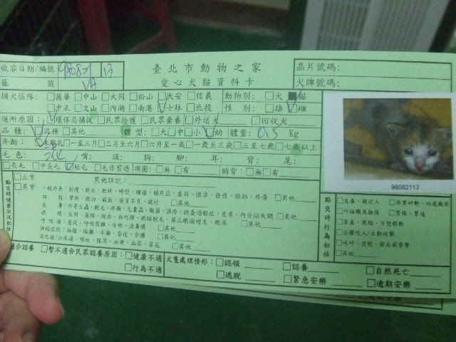 圖檔