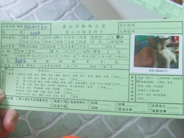 圖檔