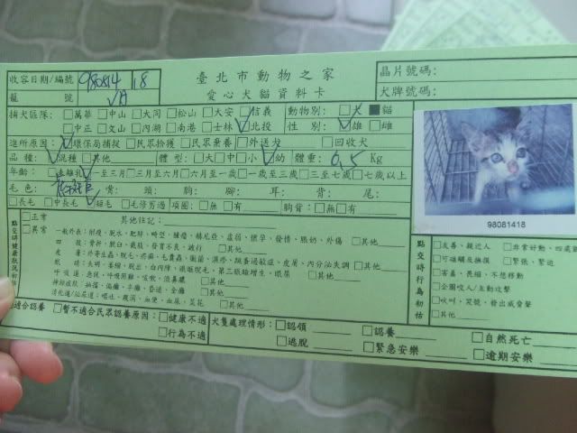 圖檔