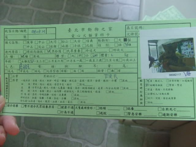 圖檔