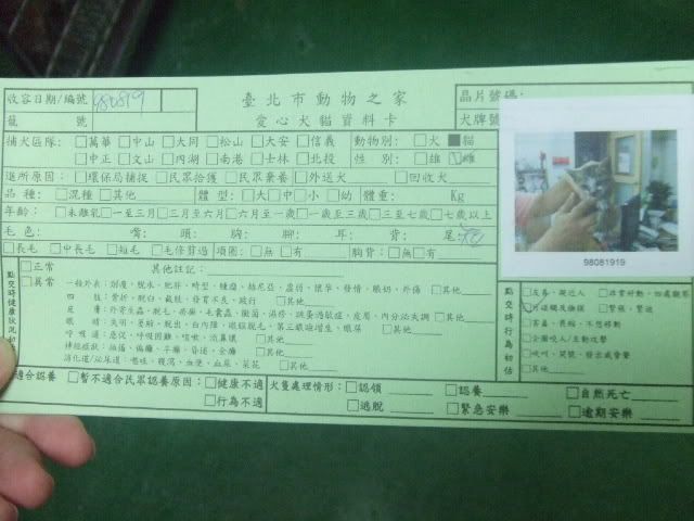 圖檔