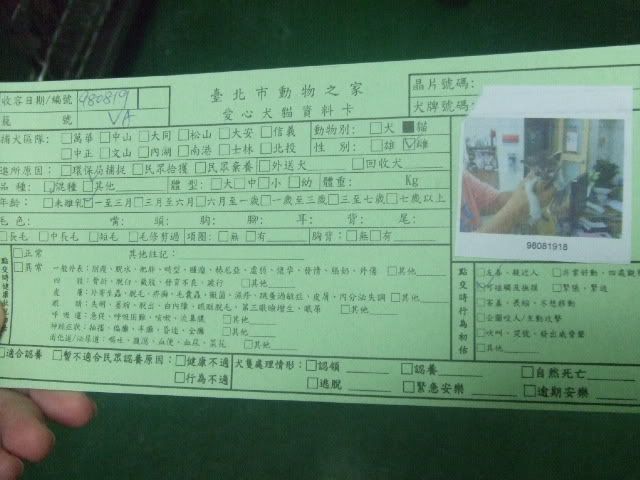 圖檔