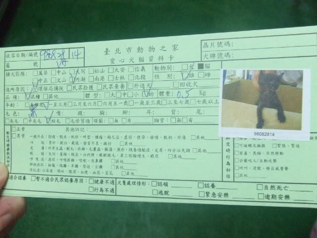 圖檔