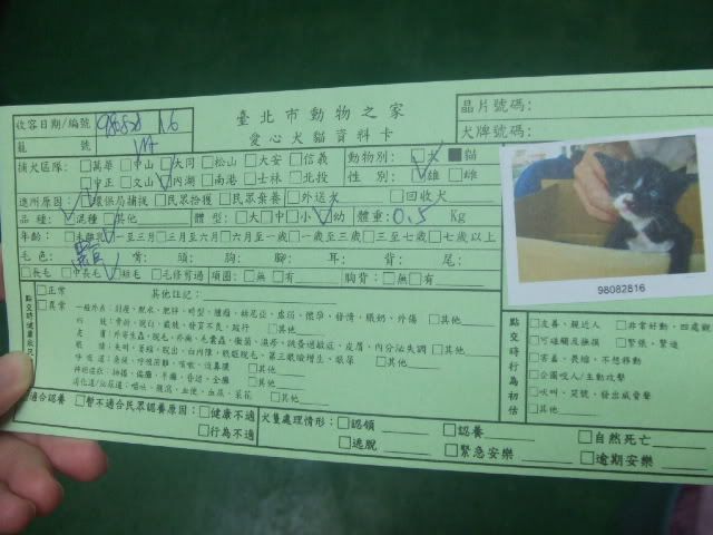 圖檔