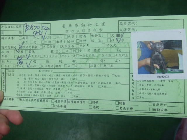 圖檔