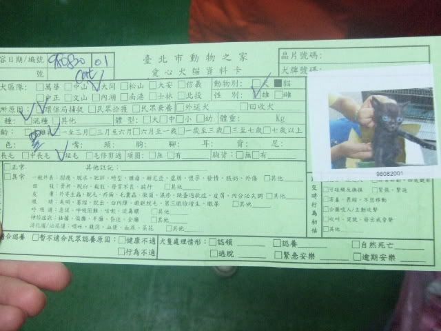 圖檔